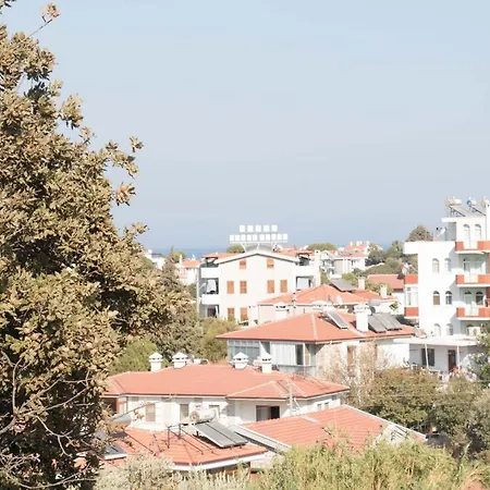 Cozy 1 Bedroom Apartment With Balcony Apartment *