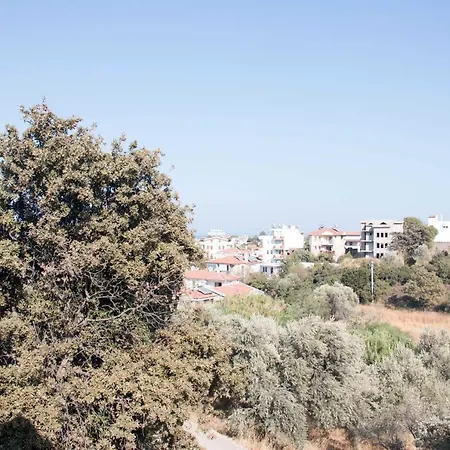 Cozy 1 Bedroom Apartment With Balcony Apartment *