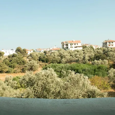 Cozy 1 Bedroom Apartment With Balcony Apartment